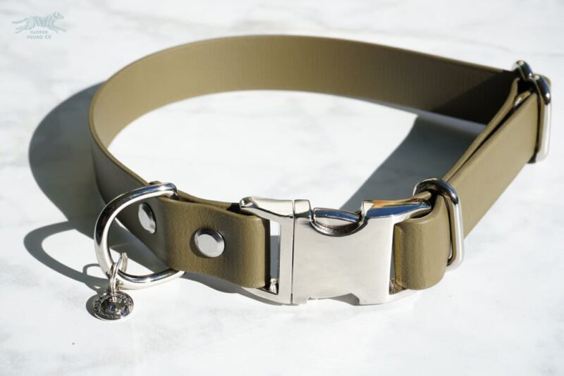 1" wide Quick-Release Buckle Collar - Image 5