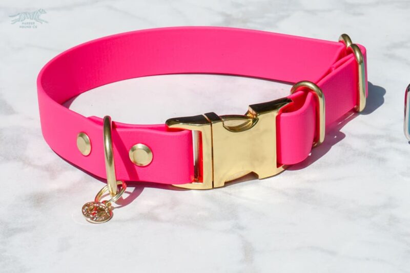 1" wide Quick-Release Buckle Collar - Image 8