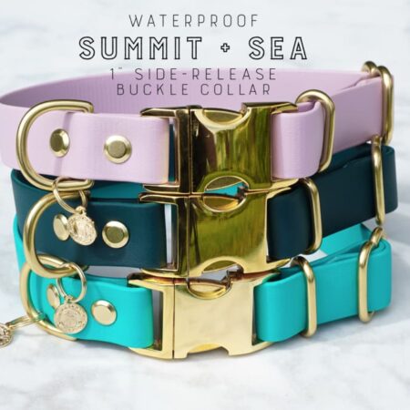 1" wide Quick-Release Buckle Collar