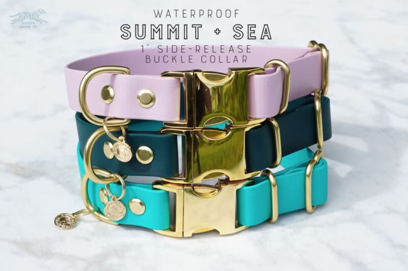1" wide Quick-Release Buckle Collar
