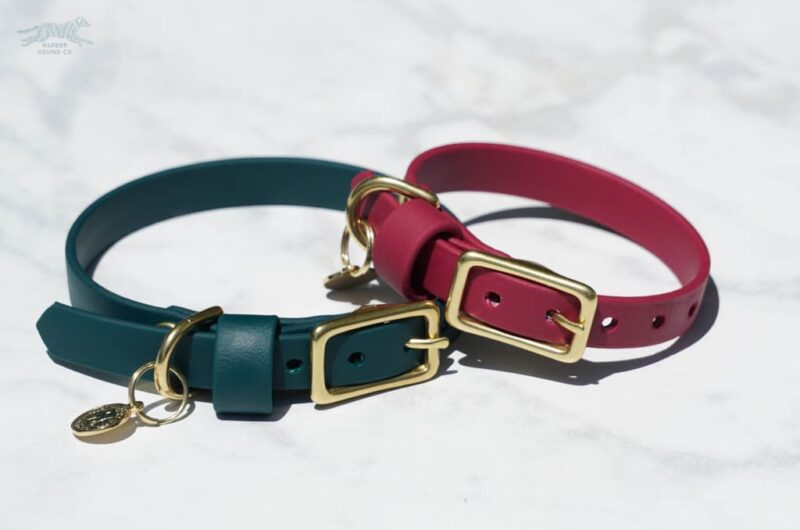1/2" Petite Waterproof Buckle Collar - Image 4