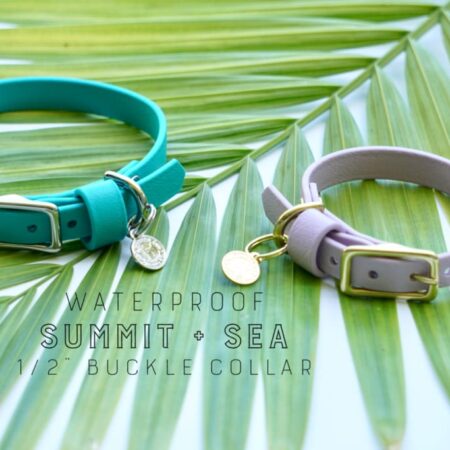 1/2" Petite Waterproof Buckle Collar