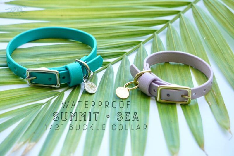 1/2" Petite Waterproof Buckle Collar