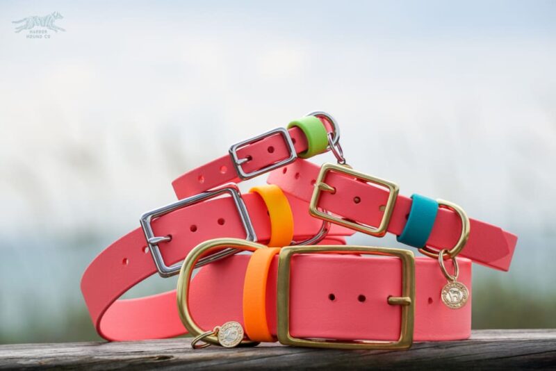 1/2" Petite Waterproof Buckle Collar - Image 5