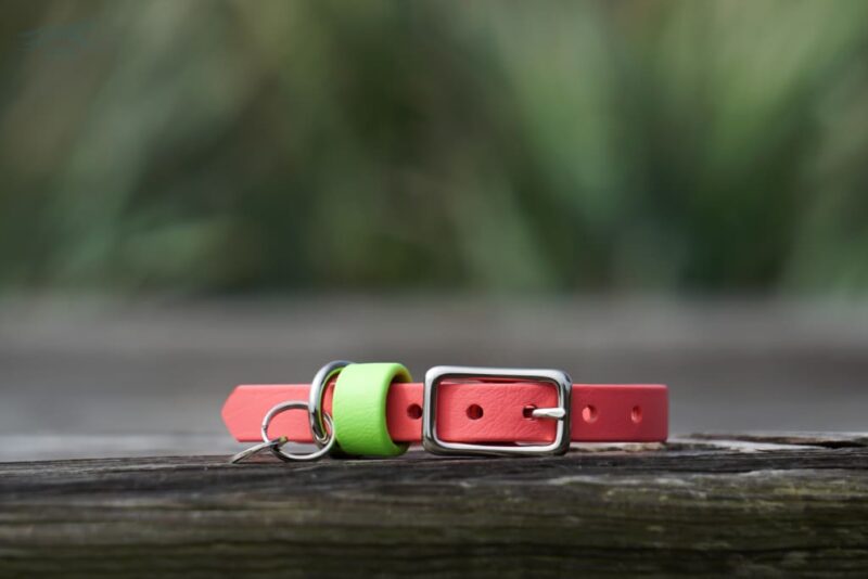 1/2" Petite Waterproof Buckle Collar - Image 6