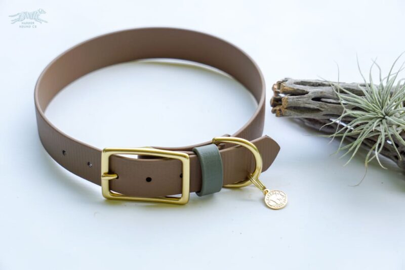 3/4" ACU Buckel Collar - Image 5