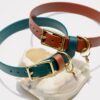 3/4" Medium Waterproof Buckle Collar - Image 8