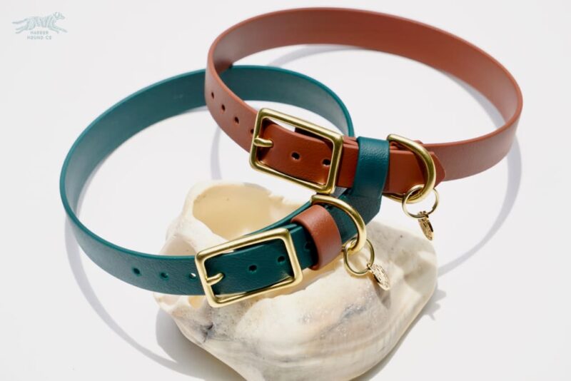 3/4" Medium Waterproof Buckle Collar - Image 8