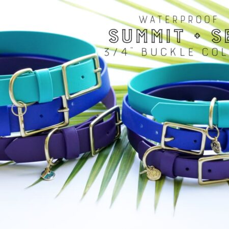 3/4" Medium Waterproof Buckle Collar