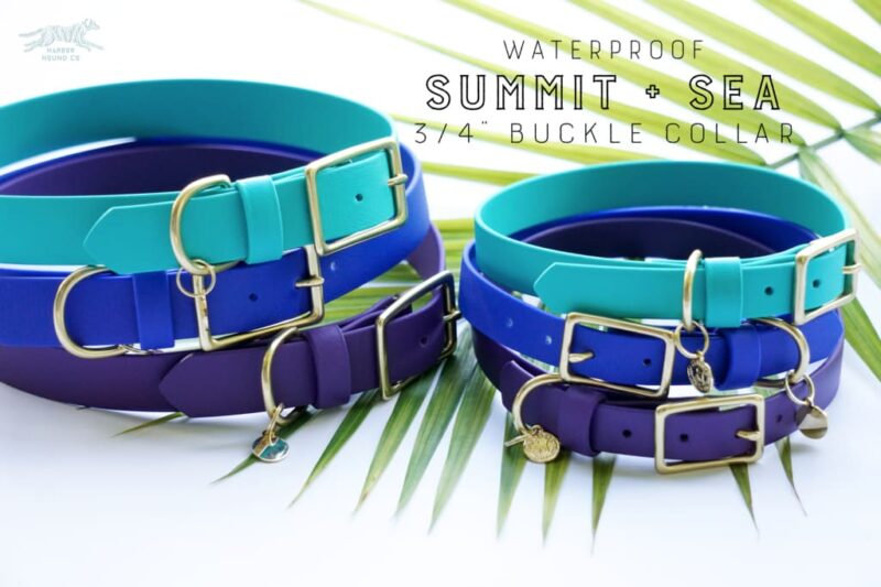 3/4" Medium Waterproof Buckle Collar