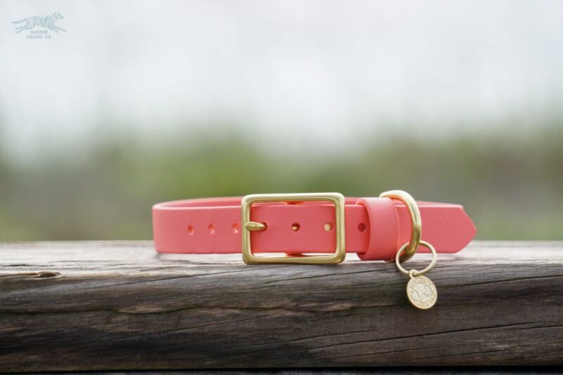 3/4" Medium Waterproof Buckle Collar - Image 2