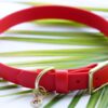 3/4" Medium Waterproof Buckle Collar - Image 4
