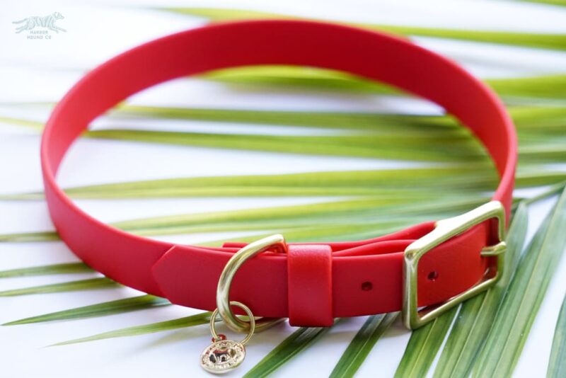 3/4" Medium Waterproof Buckle Collar - Image 4
