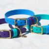 3/4" Medium Waterproof Buckle Collar - Image 7