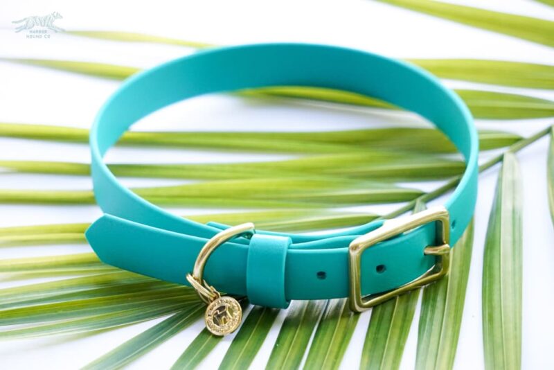 3/4" Medium Waterproof Buckle Collar - Image 5