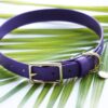 3/4" Medium Waterproof Buckle Collar - Image 10