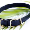 3/4" Medium Waterproof Buckle Collar - Image 11