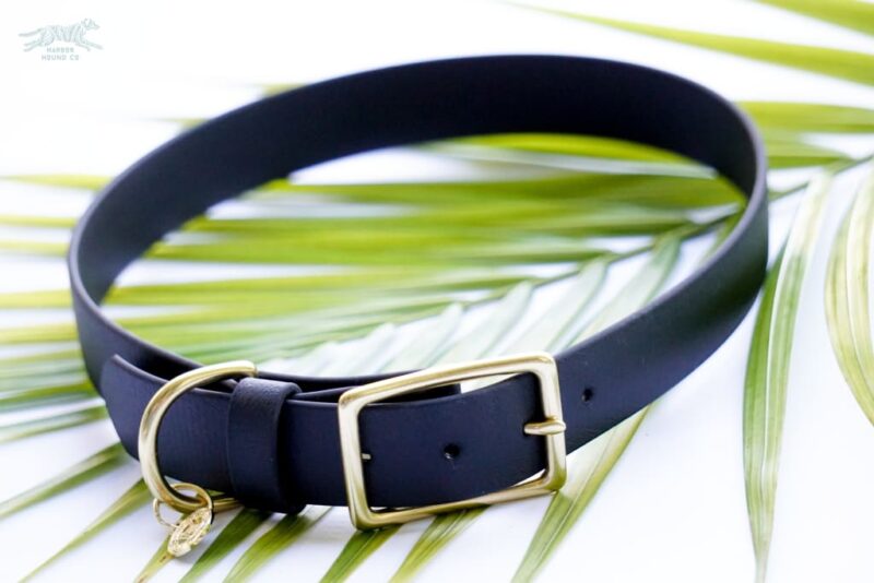 3/4" Medium Waterproof Buckle Collar - Image 11