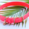 3/4" Medium Waterproof Buckle Collar - Image 9