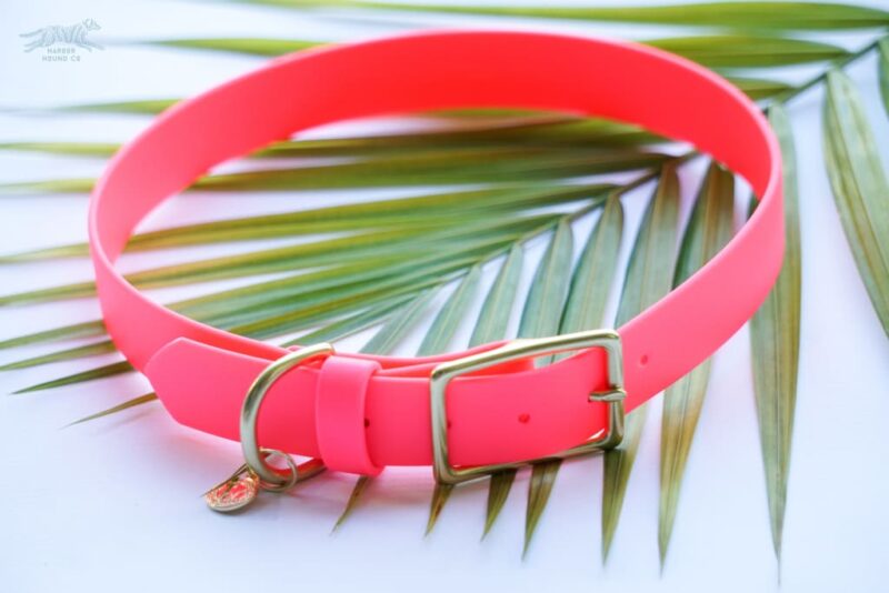 3/4" Medium Waterproof Buckle Collar - Image 9