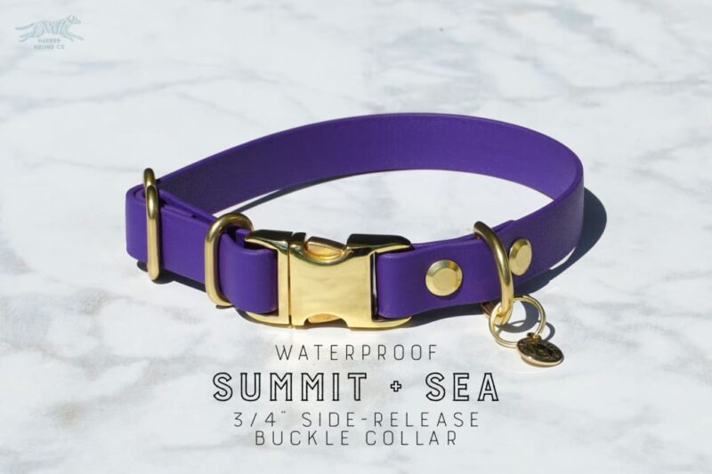3/4" Quick-release Buckle Collar - Image 4