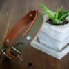 3/4" Taliesin Layered Buckle Collar - Image 2