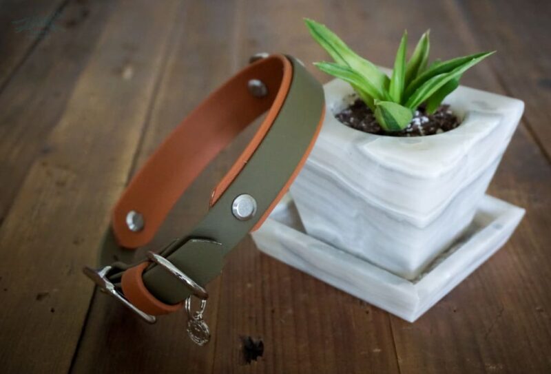 3/4" Taliesin Layered Buckle Collar - Image 2