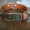 3/4" Taliesin Layered Buckle Collar - Image 3