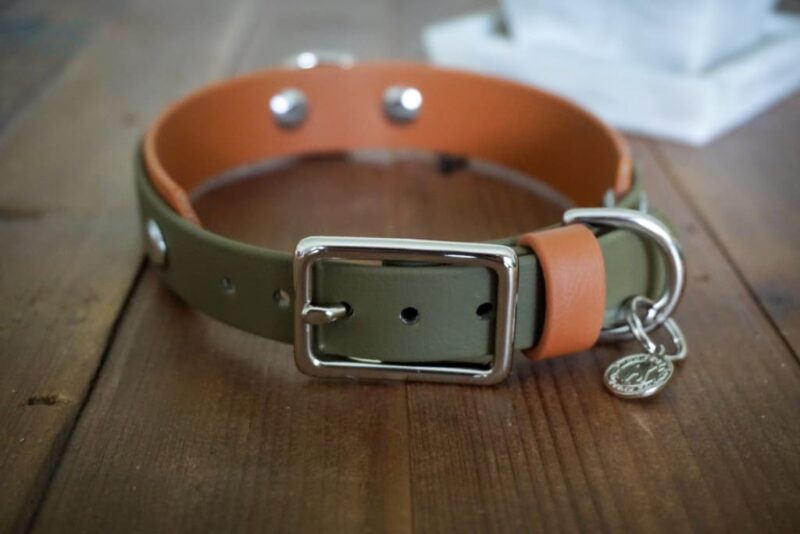 3/4" Taliesin Layered Buckle Collar - Image 3