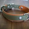 3/4" Taliesin Layered Buckle Collar - Image 5