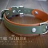 3/4" Taliesin Layered Buckle Collar