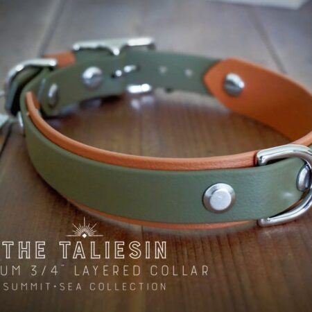 3/4" Taliesin Layered Buckle Collar