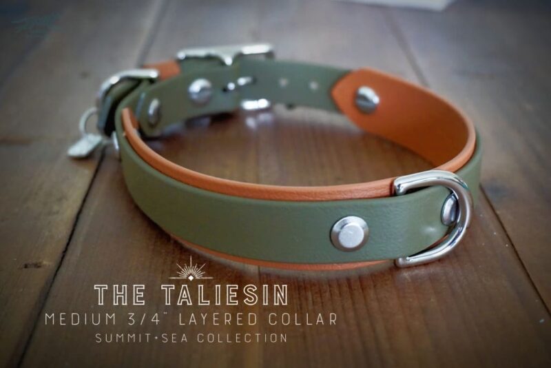 3/4" Taliesin Layered Buckle Collar