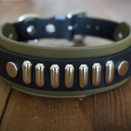 4 Paw Drive Layered Buckle Collar