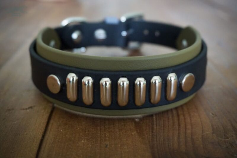 4 Paw Drive Layered Buckle Collar