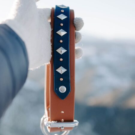 ATLAS 1.5" Studded Buckle Collar