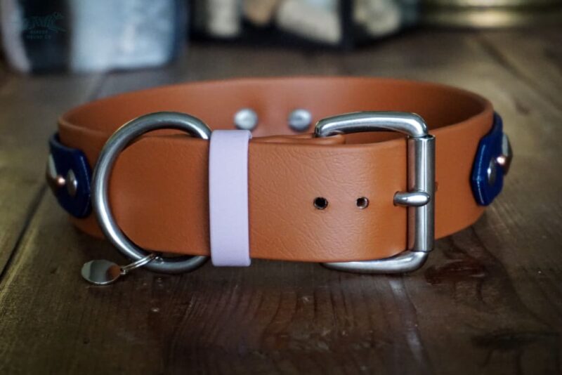 ATLAS 1.5" Studded Buckle Collar - Image 3