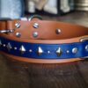 ATLAS 1.5" Studded Buckle Collar - Image 6