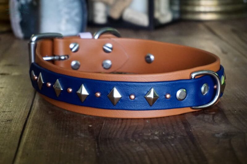 ATLAS 1.5" Studded Buckle Collar - Image 6