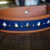 ATLAS 1.5" Studded Buckle Collar - Image 5