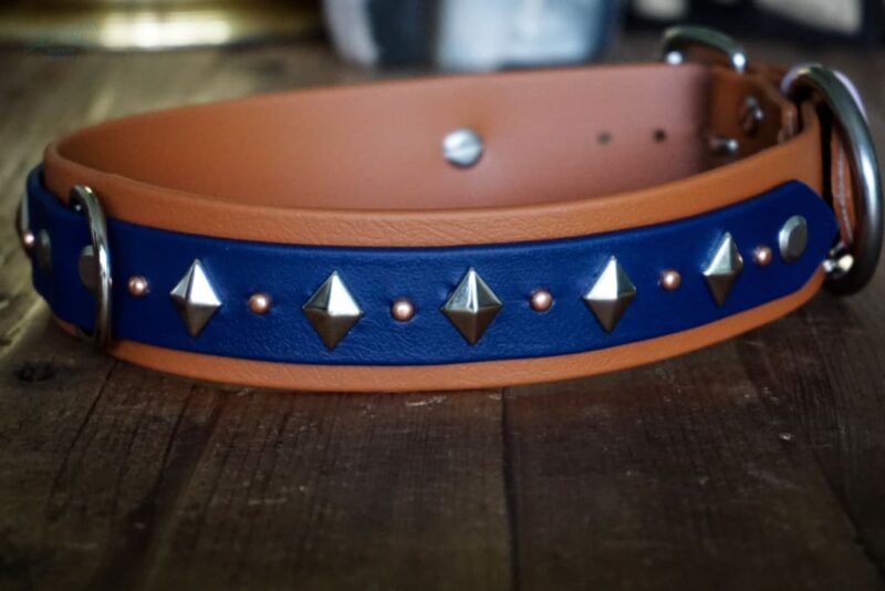ATLAS 1.5" Studded Buckle Collar - Image 5