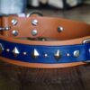 ATLAS 1.5" Studded Buckle Collar - Image 2