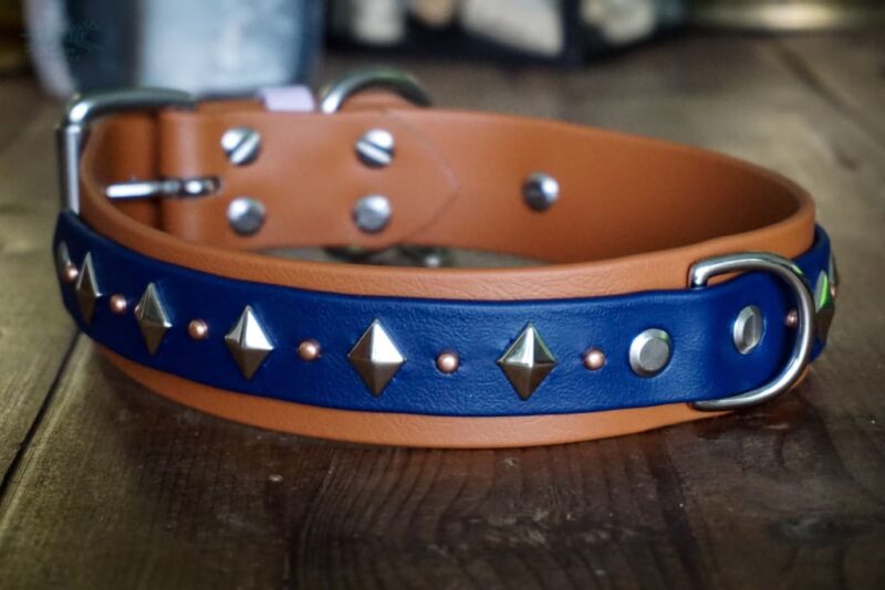 ATLAS 1.5" Studded Buckle Collar - Image 2