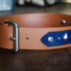 ATLAS 1.5" Studded Buckle Collar - Image 4
