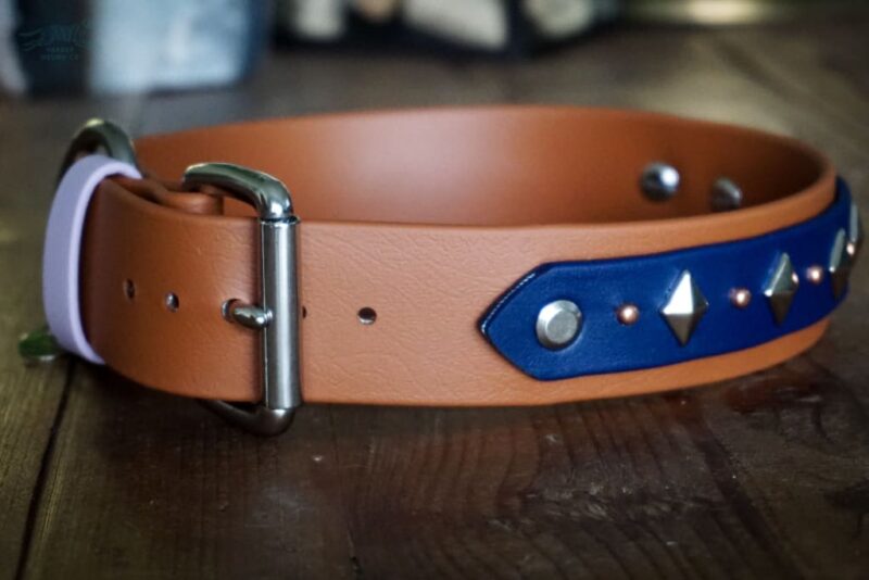 ATLAS 1.5" Studded Buckle Collar - Image 4