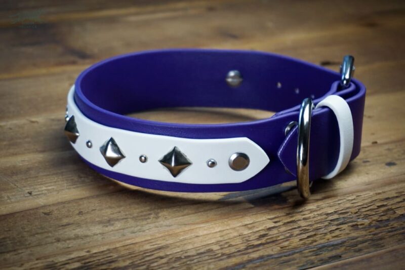 DEOMALI Layered 1.5" Studded Buckle Collar - Image 11