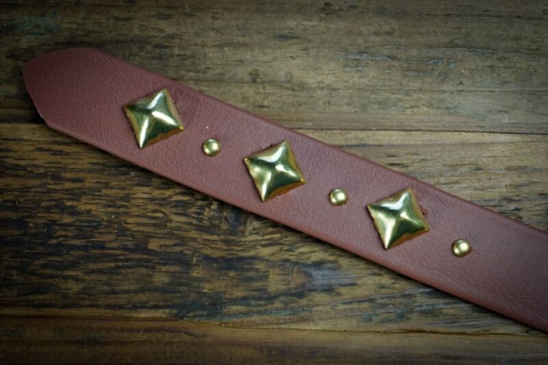 DEOMALI Layered 1.5" Studded Buckle Collar - Image 14