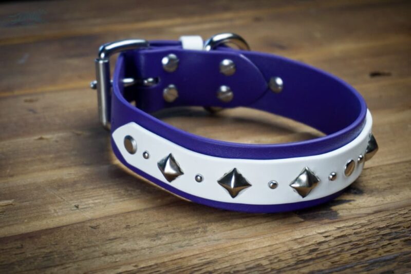 DEOMALI Layered 1.5" Studded Buckle Collar - Image 4
