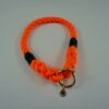 Explorer Edition Collar - Image 3
