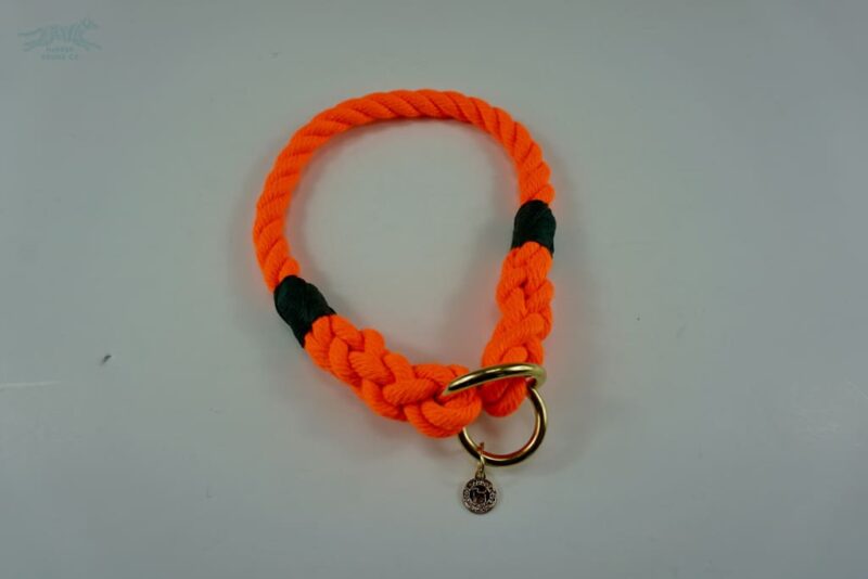Explorer Edition Collar - Image 3